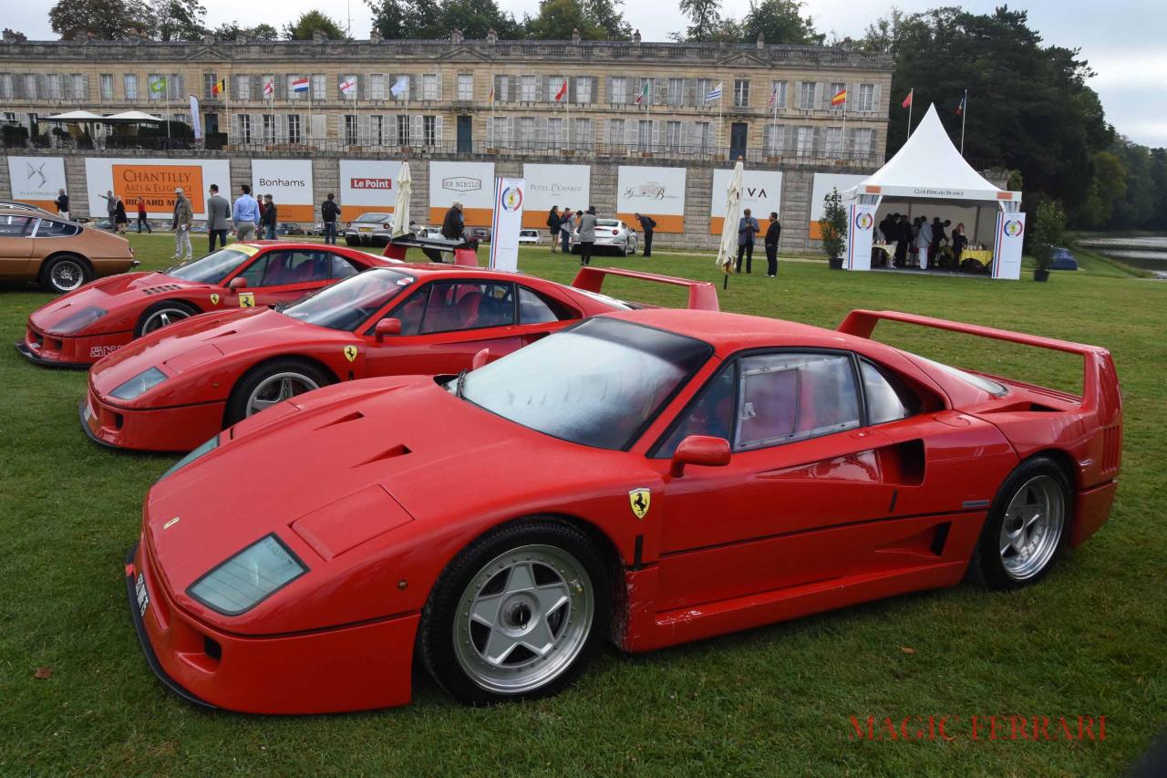 F40 (2)