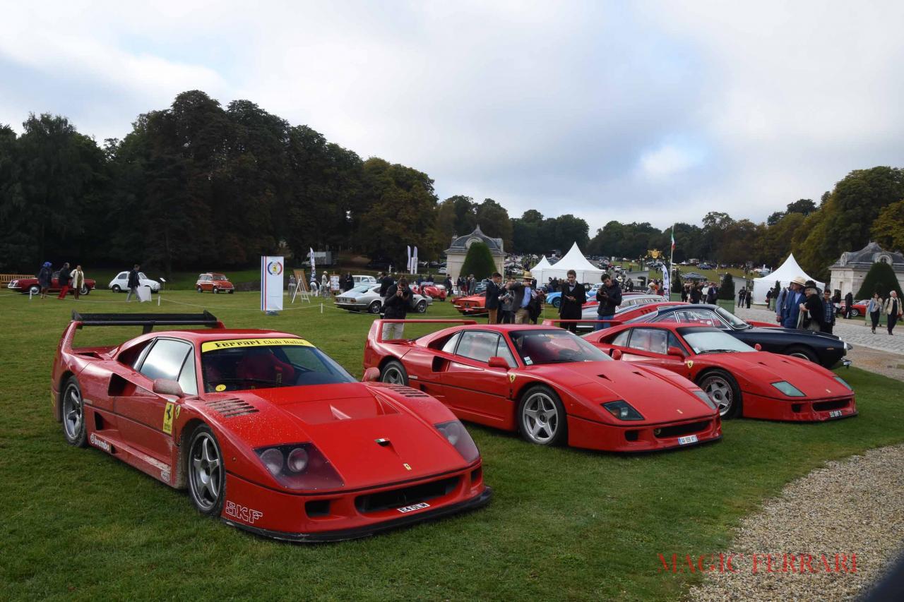 F40 (3)