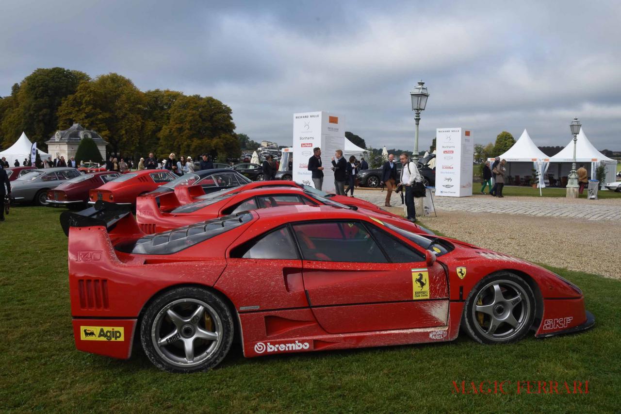 F40 (4)